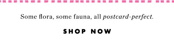 Shop all clothes.