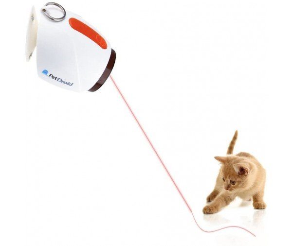 Bonusdeal6
