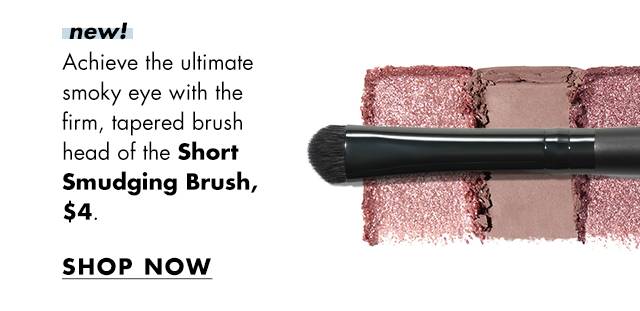 Short Smudging Brush