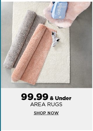 99.99 and under area rugs. shop now.