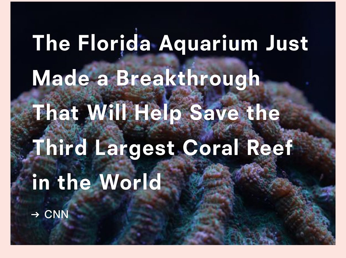 A breakthrough has been made to help save the Coral Reef