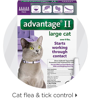 Cat flea & tick control > 