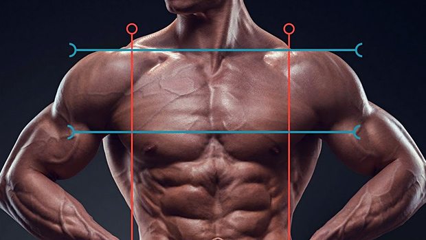 Muscular Imbalances