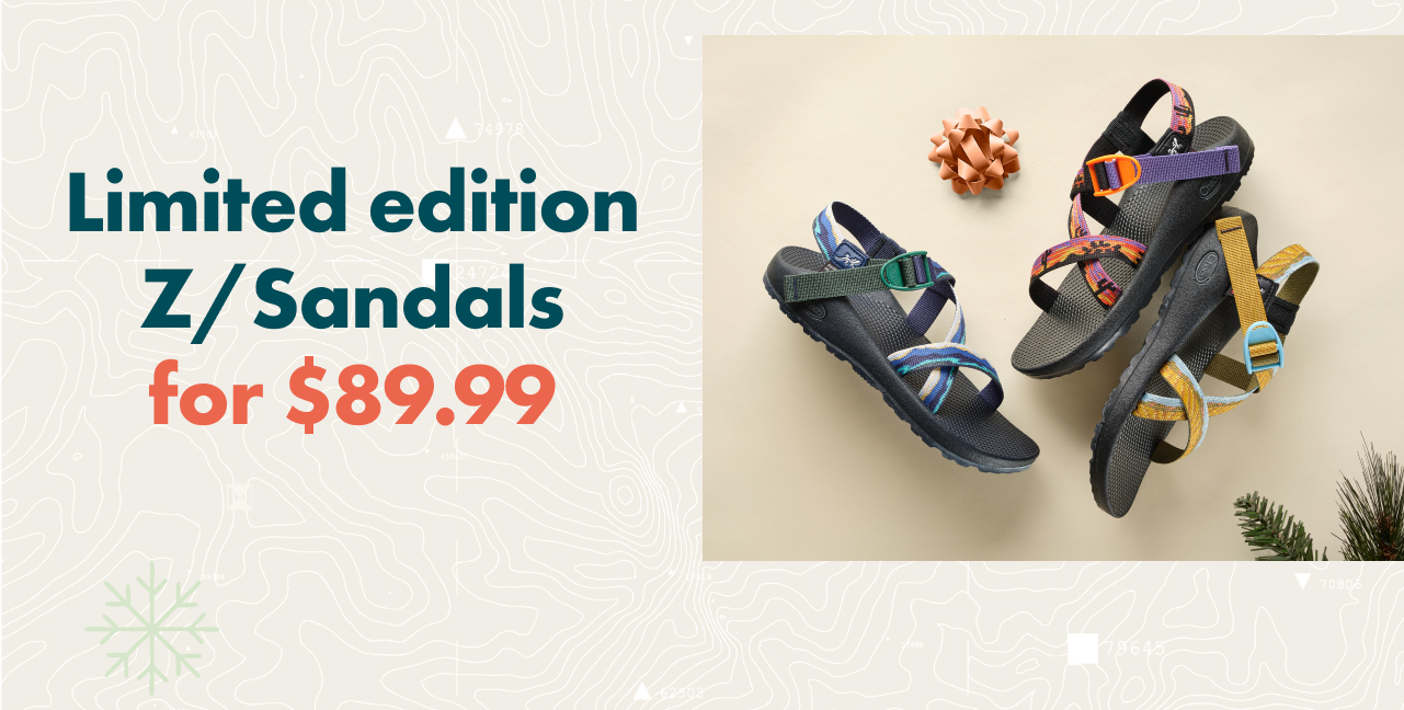Limited edition Z Sandals for $89.99