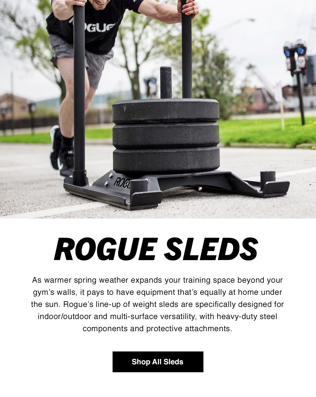 Rogue Sleds