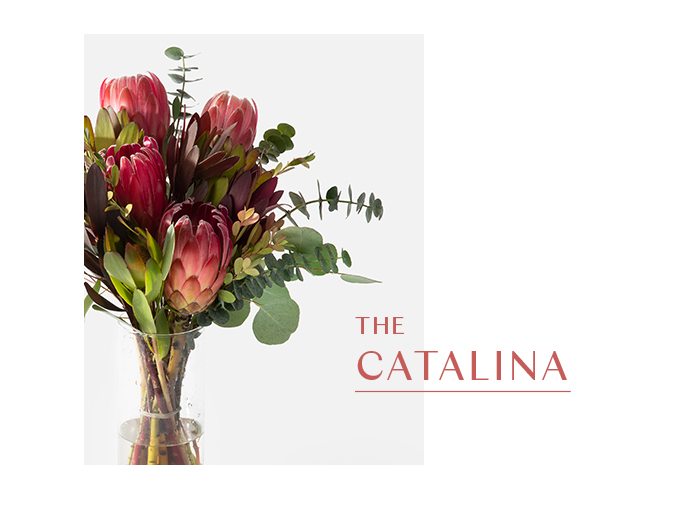 The Catalina