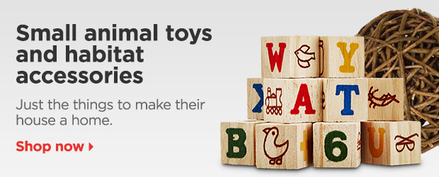 Small animal toys and habitat accessories. Just the things to make their house a home. Shop now > 