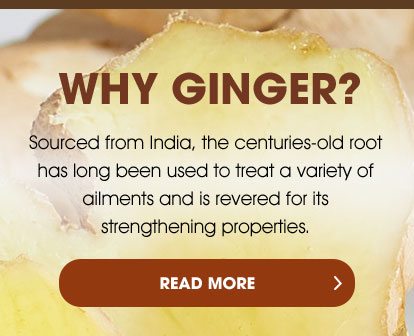 WHY GINGER? - Sourced from India, the centuries-old root has long been used to treat a variety of ailments and is revered for its strengthening properties. - READ MORE >