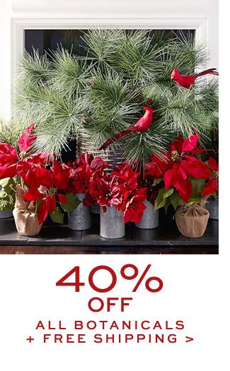 40% OFF ALL BOTANICALS + FREE SHIPPING