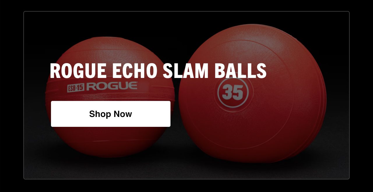 Rogue Echo Slam Balls