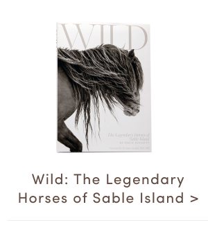 Wild The Legendary Horses of Sable Island