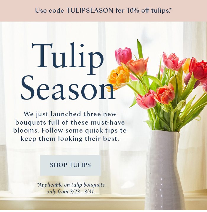 Shop Tulips