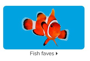 Fish faves.