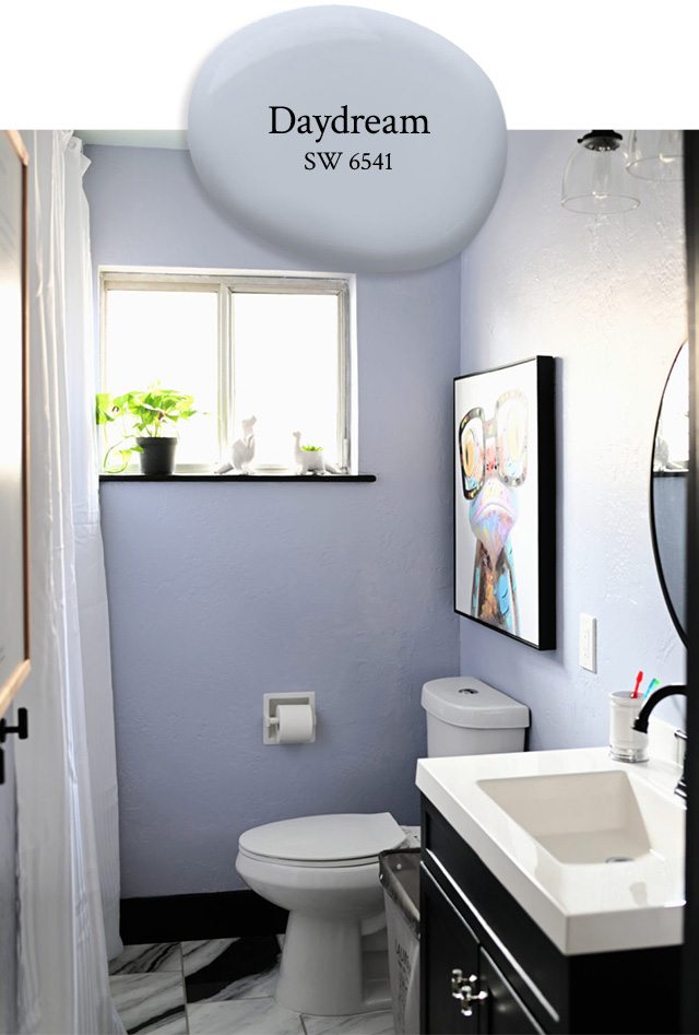 Bathroom painted in Daydream SW 6541.