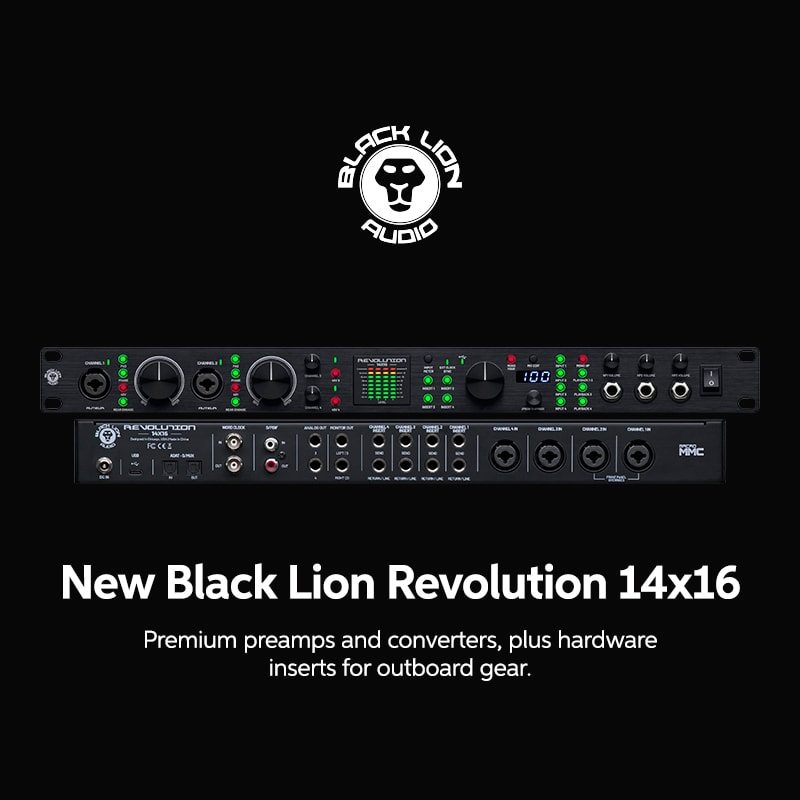 New Black Lion Revolution 14x16.