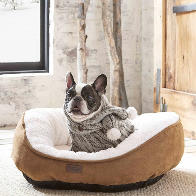 bed bath and beyond ugg dog bed