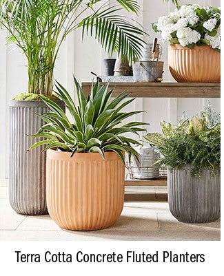 Terra Cotta Concrete Fluted Planters