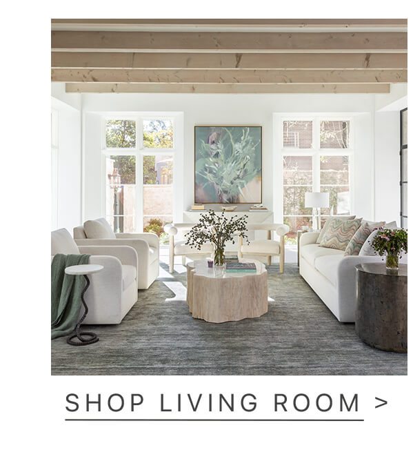 shop living room
