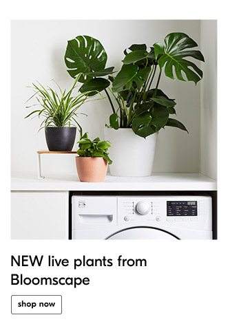 NEW live plants from Bloomscape shop now