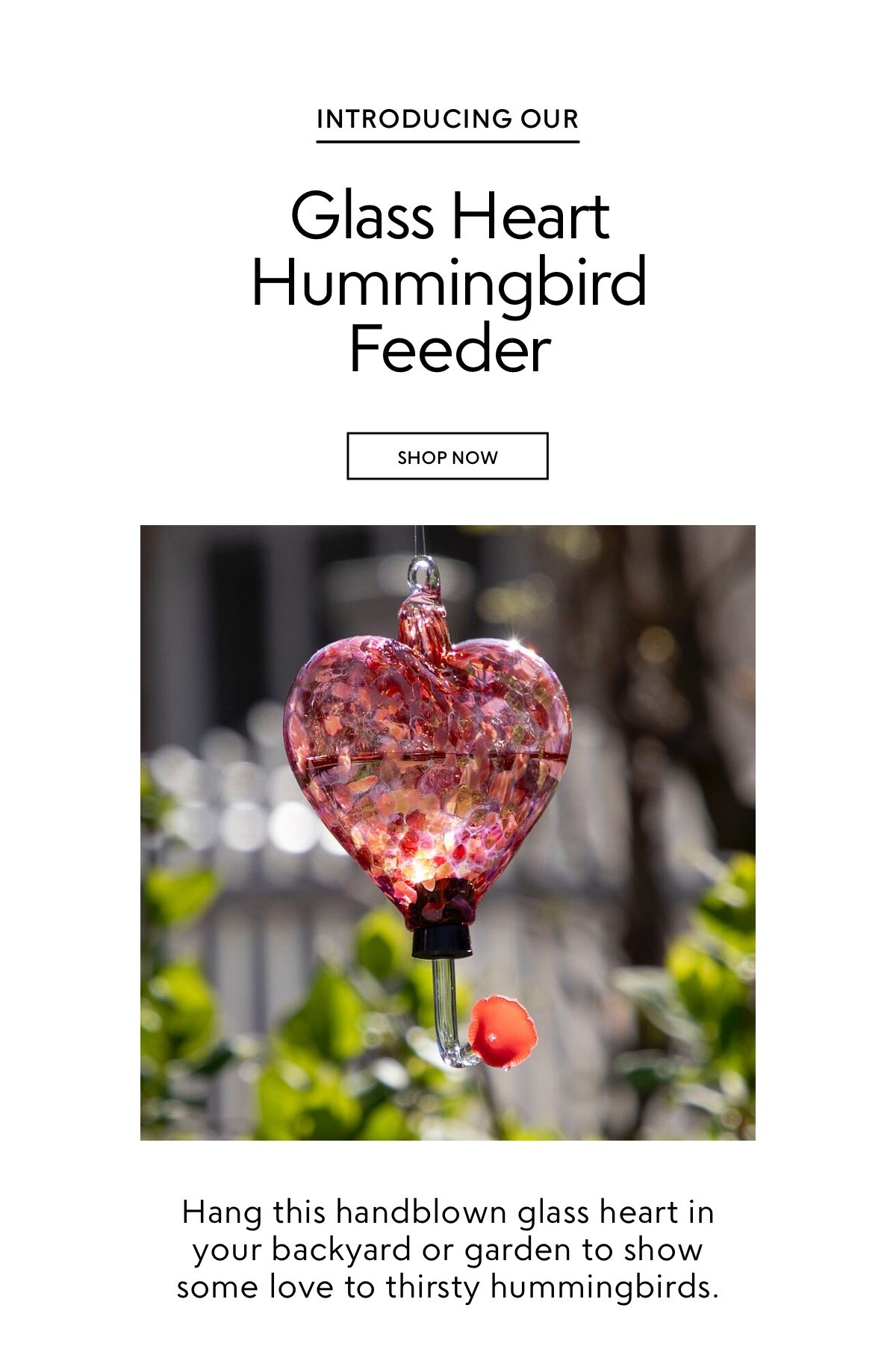 Introducing the Glass Heart Hummingbird Feeder. Hang this handblown glass heart in your backyard or garden to show some love to thirsty hummingbirds. Shop now.