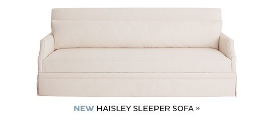 Haisley Sleeper Sofa