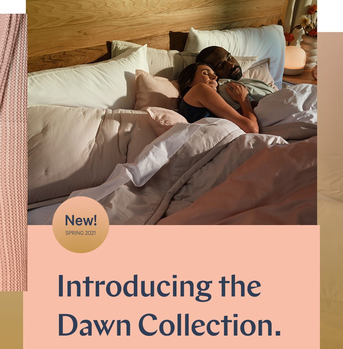 Introducing the Dawn Collection