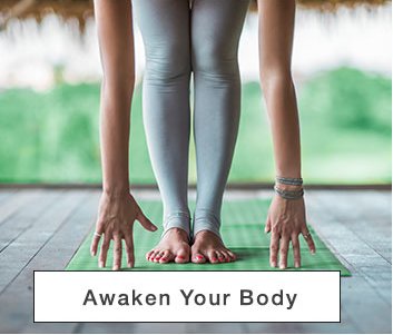 Awaken Your Body