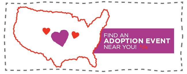 Find an adoption event near you