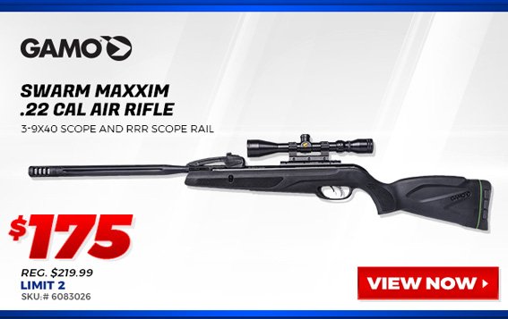 GAMO Swarm Maxxim 22 Cal Air Rifle