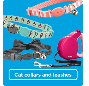 Shop cat collars and leashes >