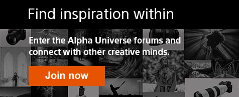 Find inspiration within | Enter the Alpha Universe forums and connect with other creative minds. Join now