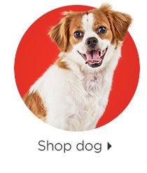 Shop dog.