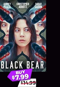 Black Bear