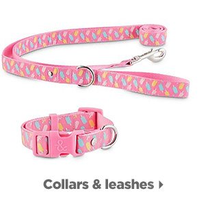 Collars & leashes.