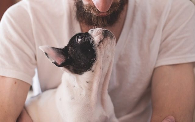 Scientifically Proven Ways To Show Your Dogs How Much You Love Them