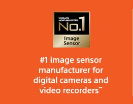 #1 image sensor manufacturer for digital cameras and video recorders**
