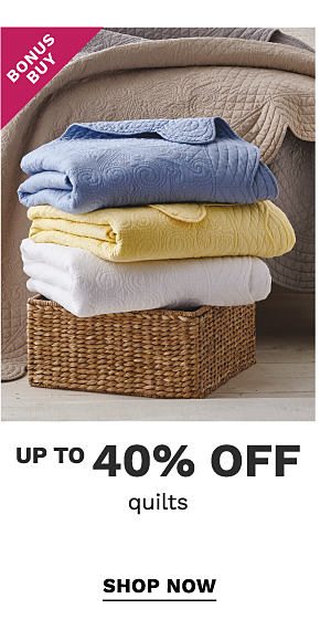 Bonus Buy - Up to 40% off quilts. Shop Now.