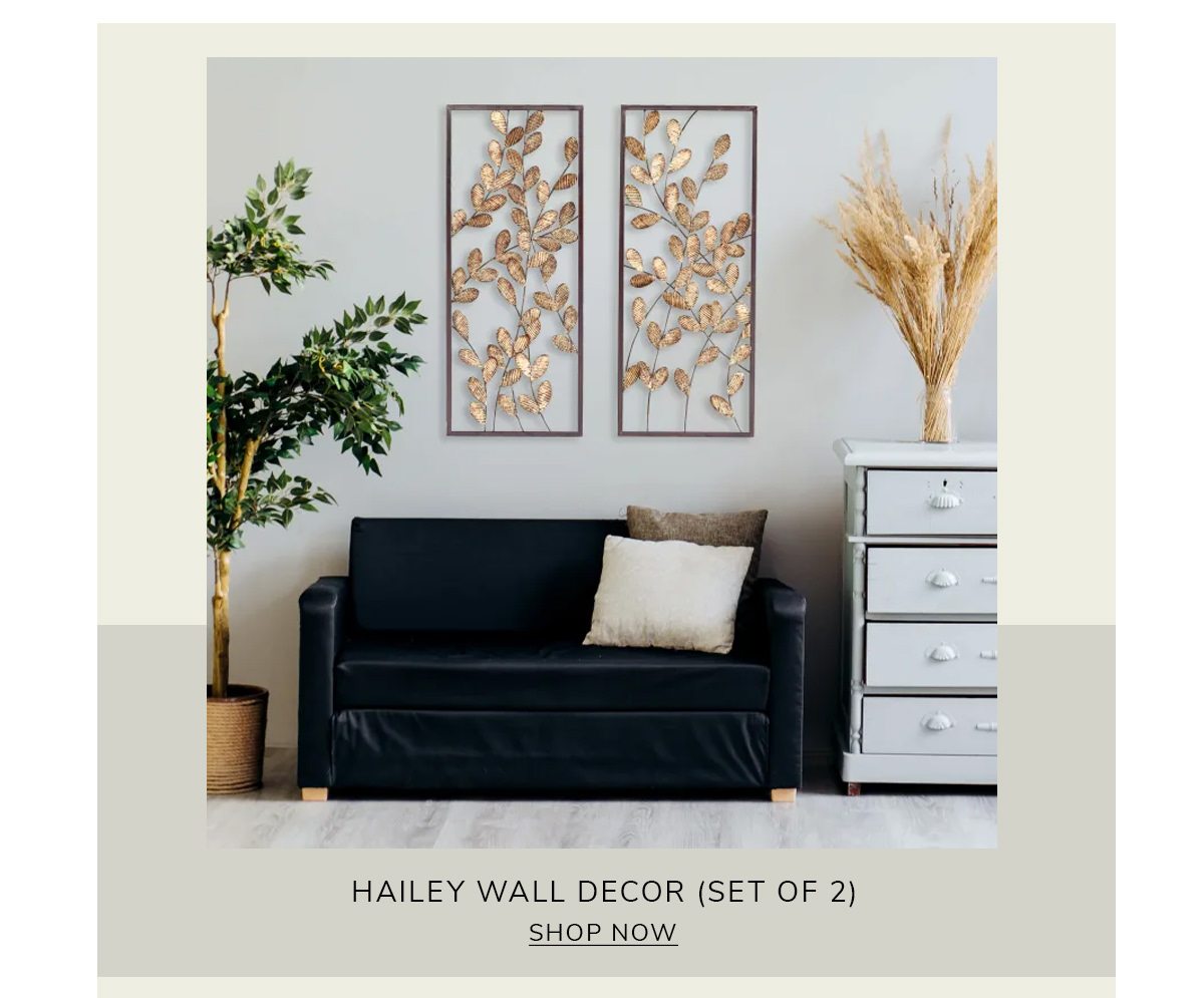 Hailey Set of 2 Wall Decor | SHOP NOW