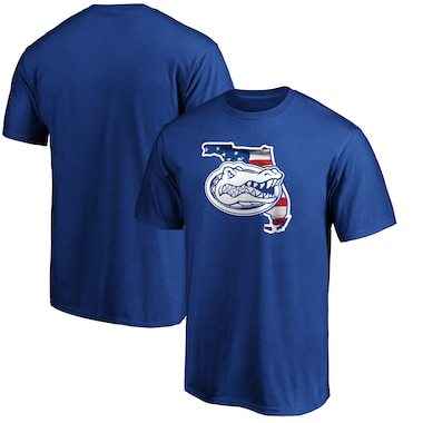 Florida Gators Fanatics Branded Banner State T-Shirt - Royal