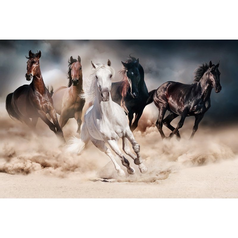 Multi Color Running Horses Print on Glass Wall Art