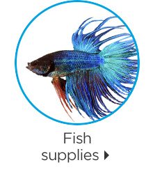 Fish supplies.