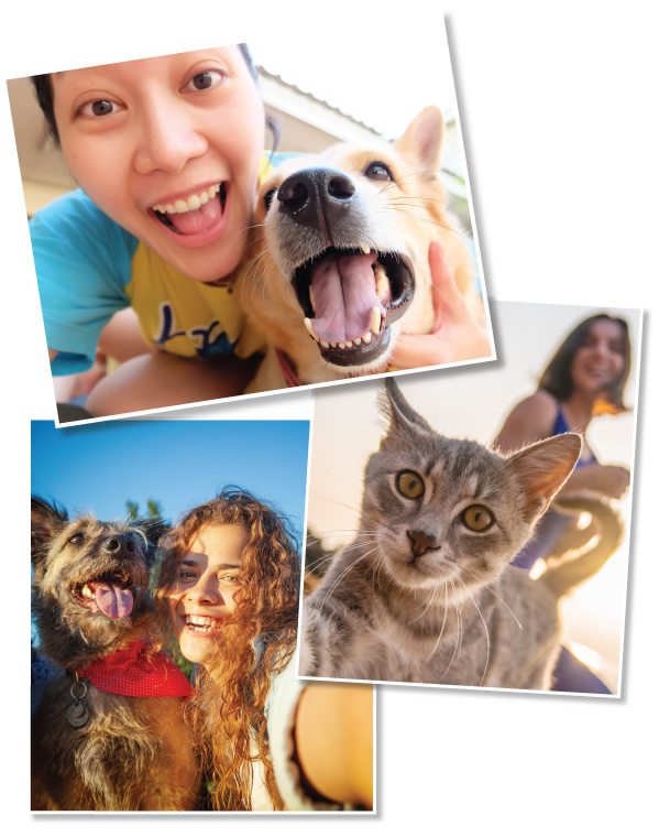 Pet Info