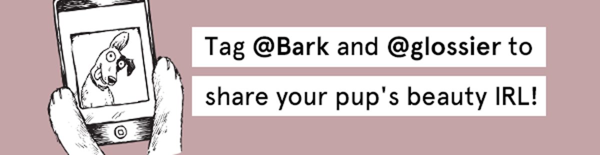 Tag Bark and Glossier