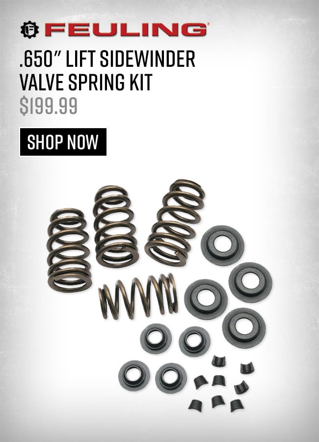 Valve Spring Kit