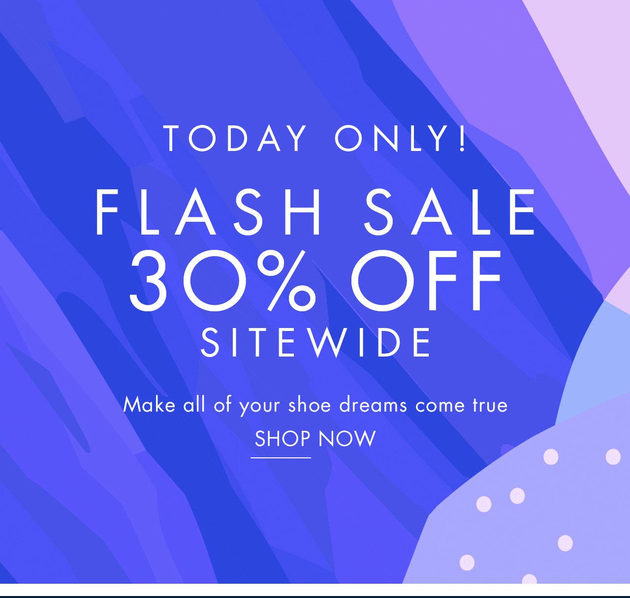 TODAY ONLY! Flash Sale - 30% Off Sitewide