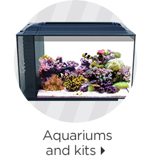 Aquariums and kits > 