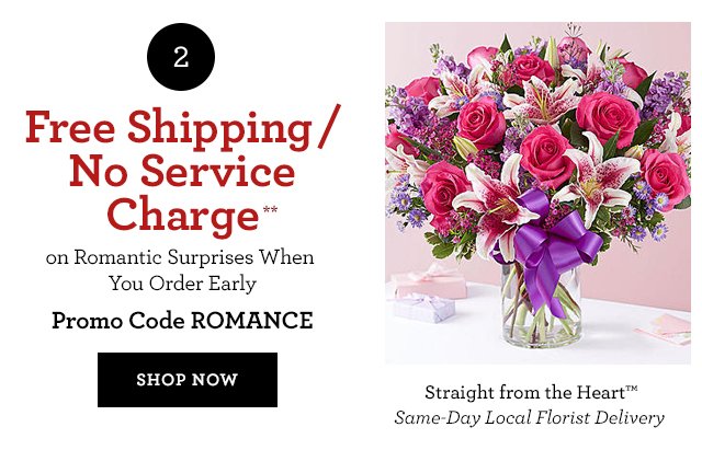 Free Shipping/No Service Charge on Romantic Surprises When Your Order Early Promo Code EARLYGIFT SHOP NOW 