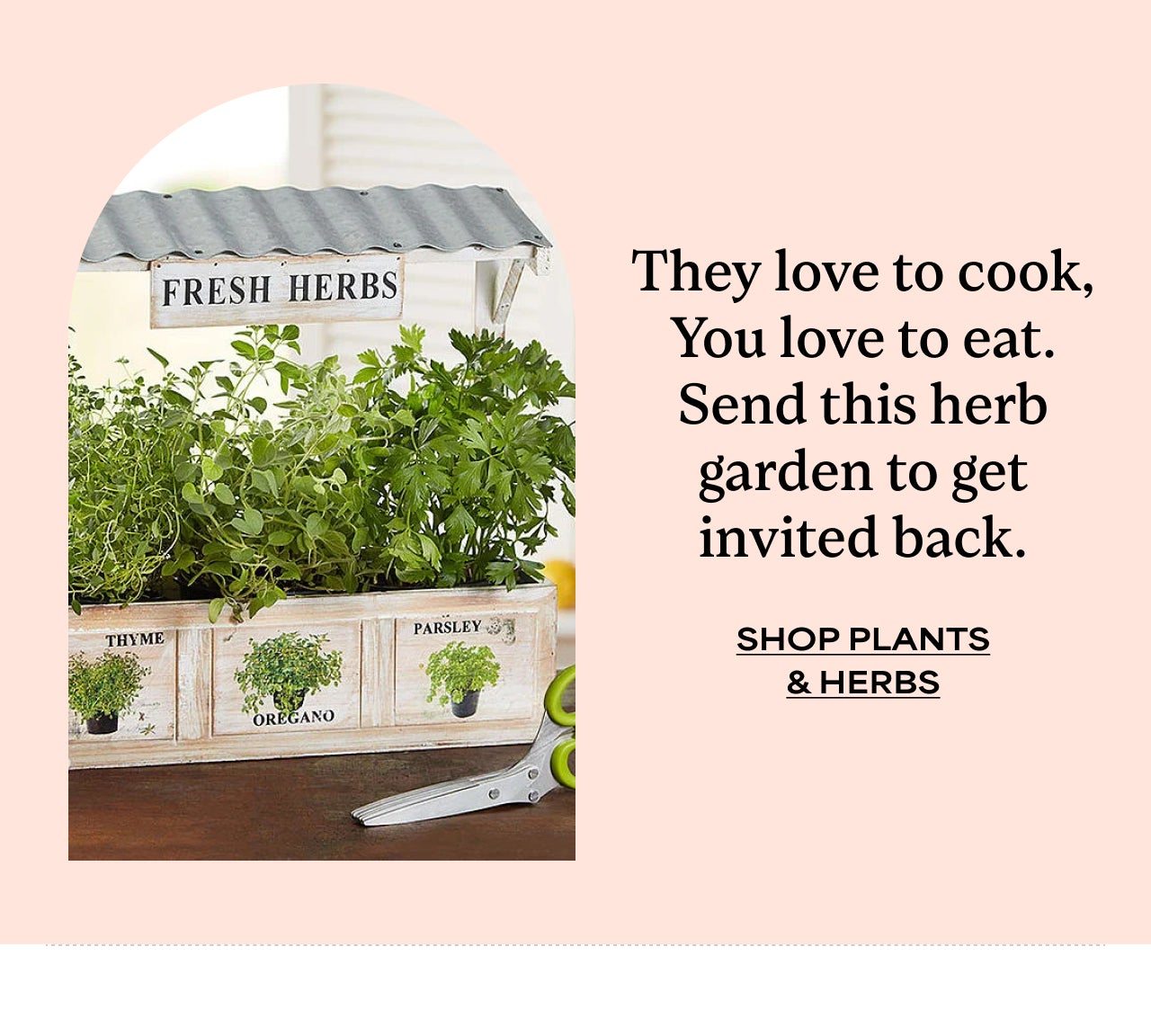 SHOP PLANTS AND HERBS