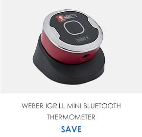 Weber iGrill Mini Bluetooth Thermometer