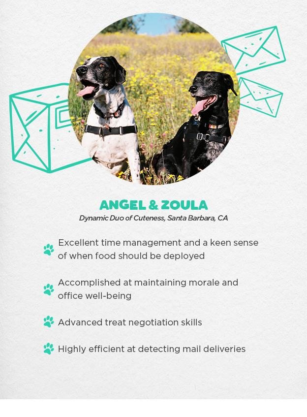 Angel & Zoula - Dynamic Duo of Cuteness